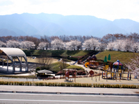 曽根丘陵公園